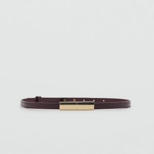 Thin belt with metal detail