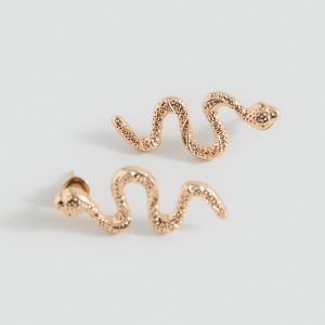 Snake design earrings