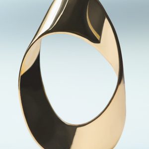 Twisted hoop earrings