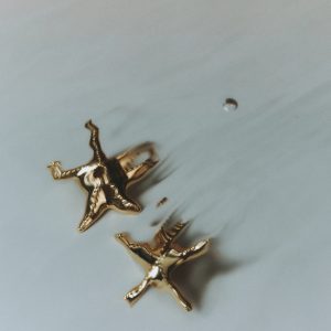 Star design earrings
