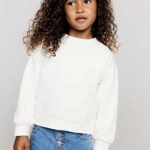 Sweatshirt with embroidered star