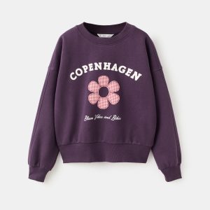 Printed embroidered sweatshirt