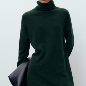 Turtle neck knit dress